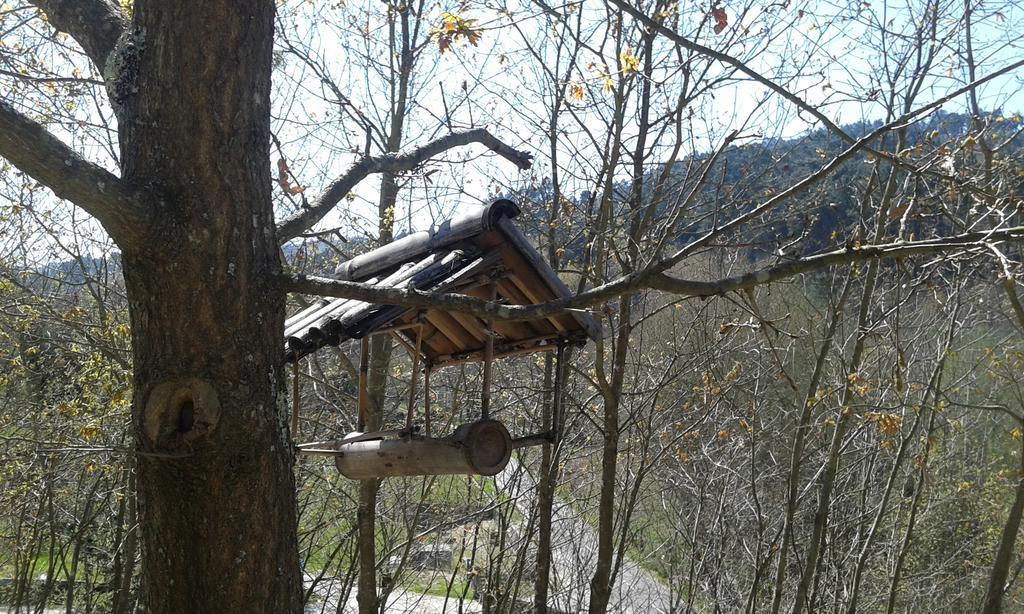 Eco Camping Juncal Hotel Marco de Canaveses Exterior photo