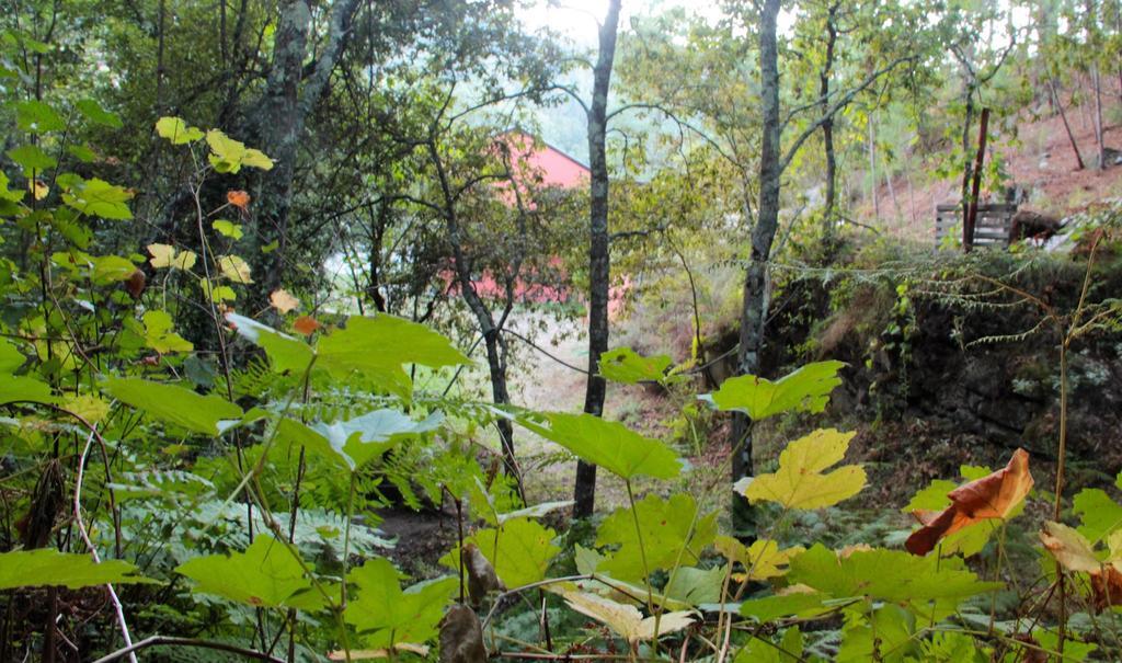 Eco Camping Juncal Hotel Marco de Canaveses Exterior photo